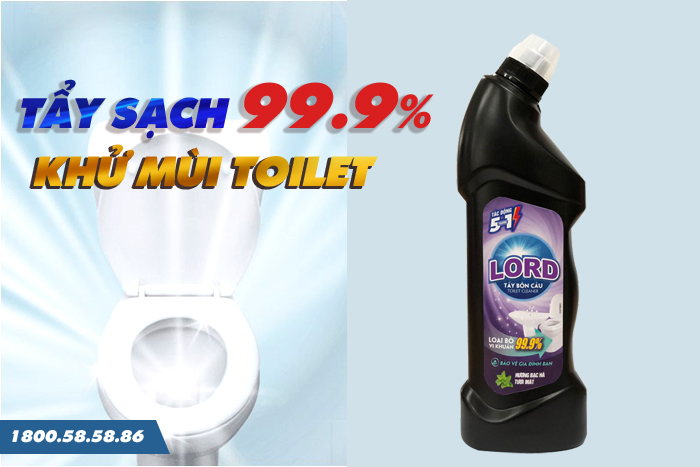 Cách Chọn Nước Tẩy Bồn Cầu: An toàn - Sạch - Hiệu quả cho cả gia đình