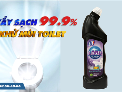 Cách Chọn Nước Tẩy Bồn Cầu: An toàn - Sạch - Hiệu quả cho cả gia đình