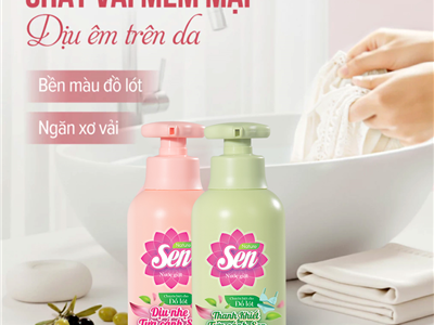Sạch – Mềm – Thơm: Combo Sen Chăm Đồ Lót Nữ Chuẩn Tinh Tế 