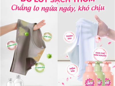NƯỚC GIẶT ĐỒ LÓT HƯƠNG SEN – GIẢI PHÁP CHĂM SÓC ĐỒ LÓT AN TOÀN, DỊU NHẸ CHO SỨC KHỎE